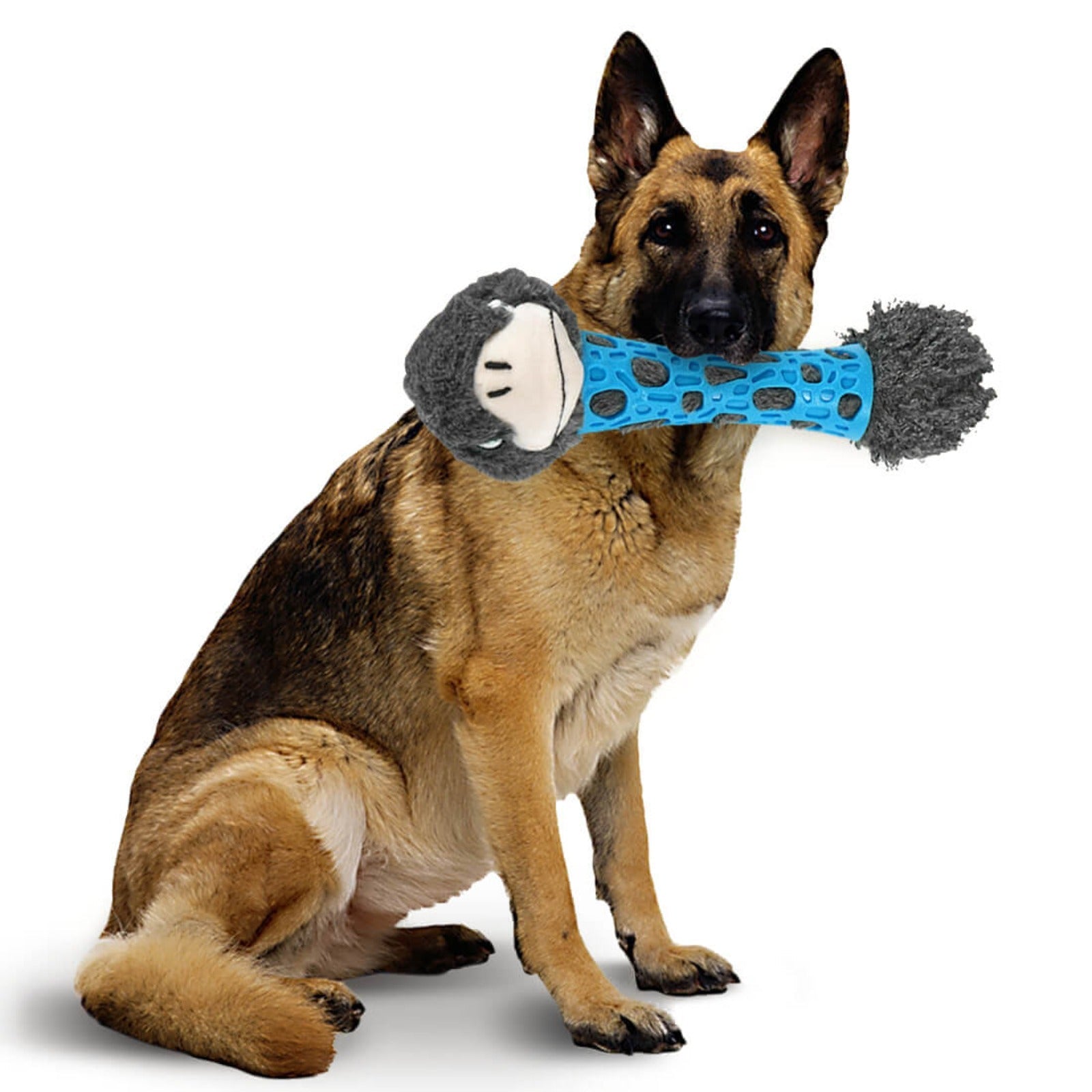 Laifug Chew Squeaky Dog Toy