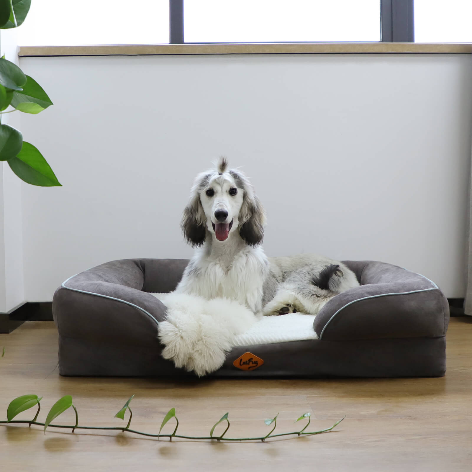 Laifug Large Dog Sofa