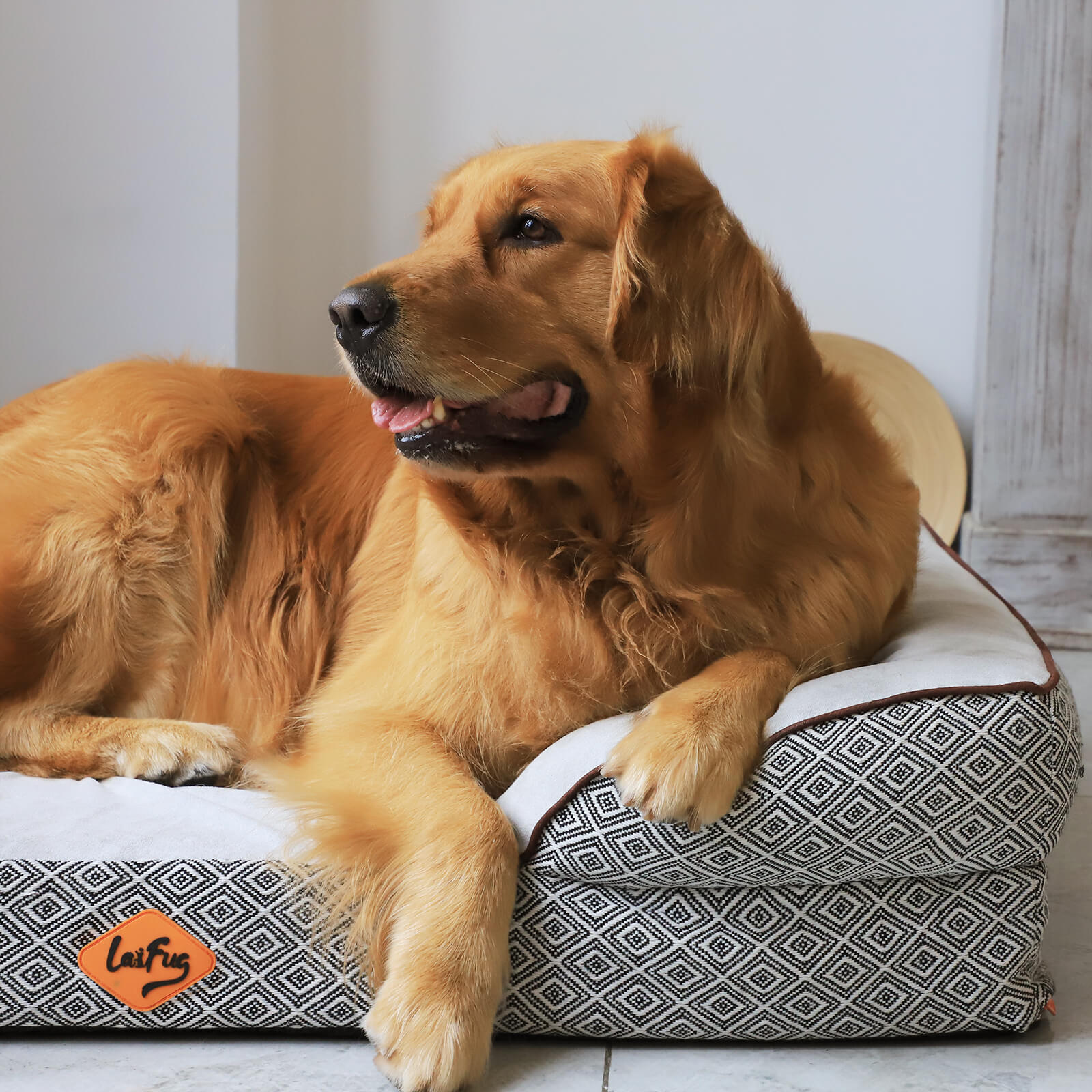 Laifug Plaid Durable Pet Sofa