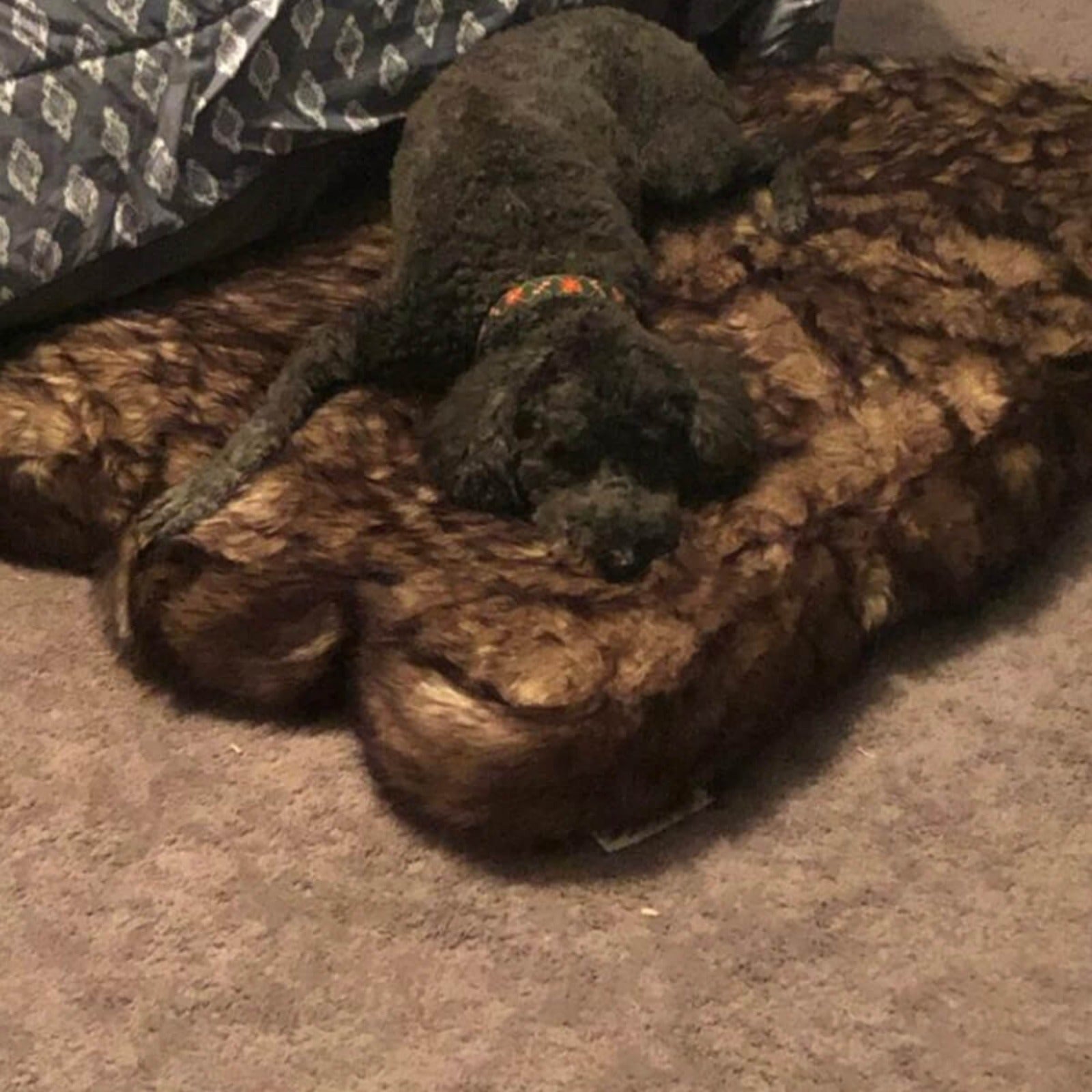 Laifug Faux Fur Dog Bed