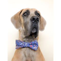 You're a Catch - Dog Bow Tie
