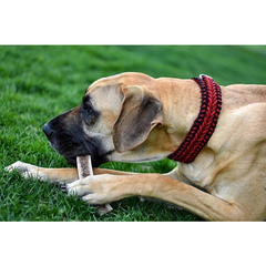 Organic Split Antler Dog Chew Toy
