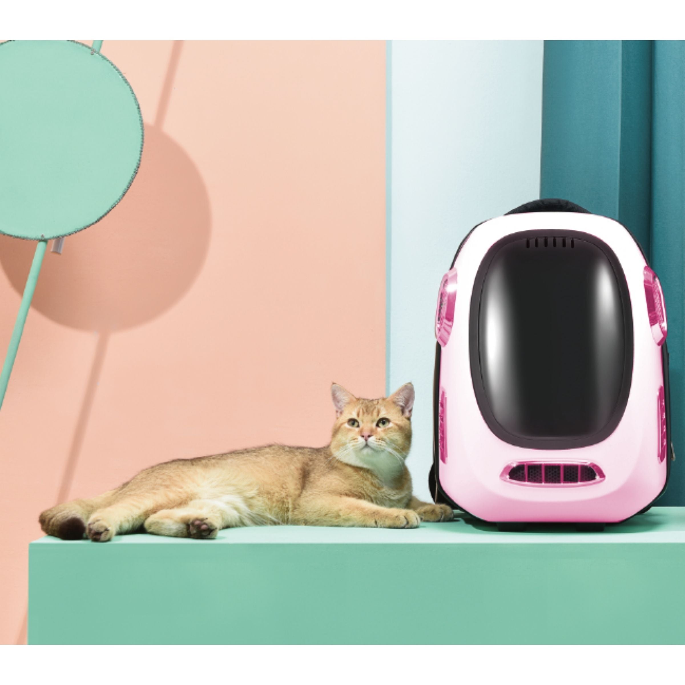 INSTACHEW Trekpod Smart Pet Carrier, App Enabled, for Cats and Small Dogs