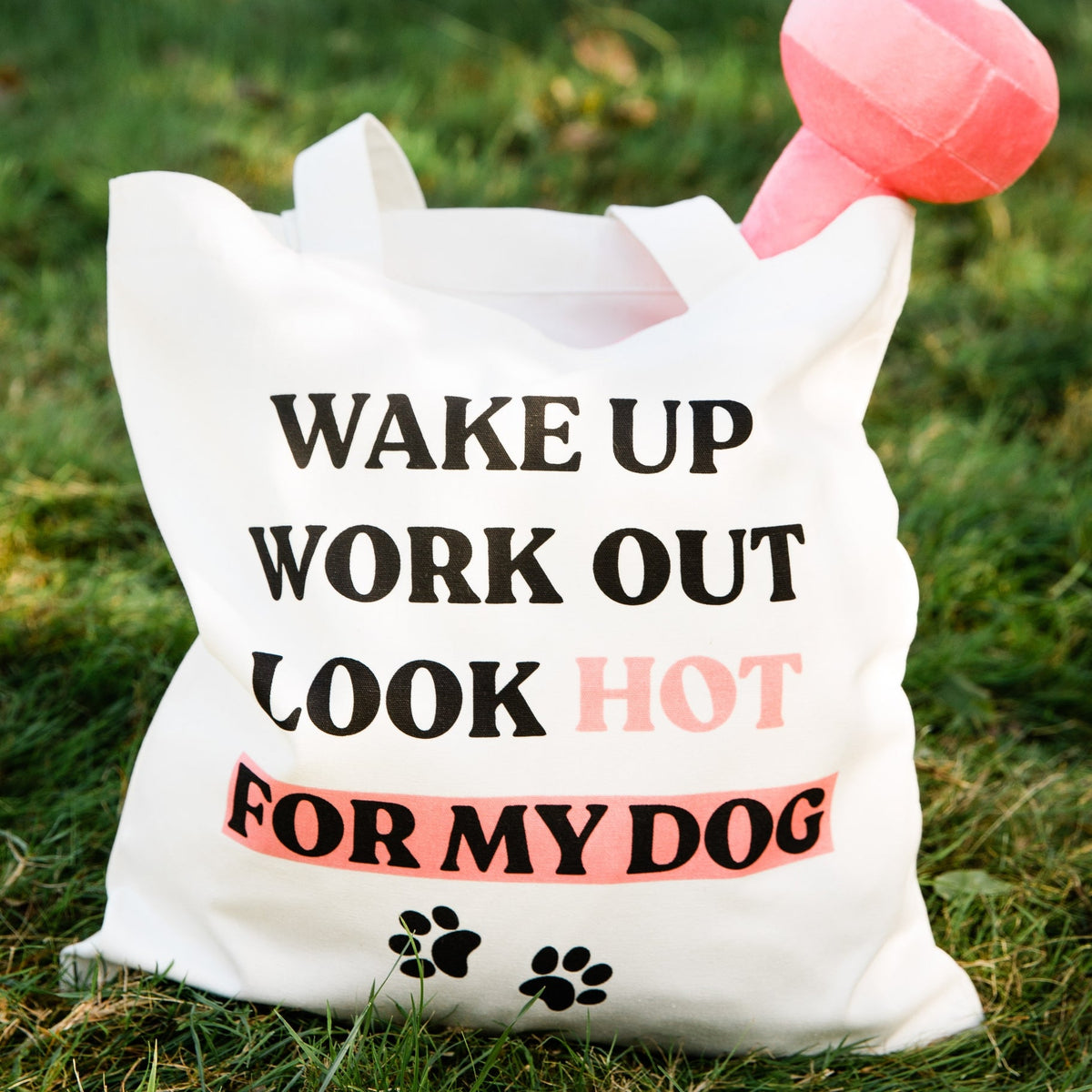 Workout Dog Toy and Tote Bag Set