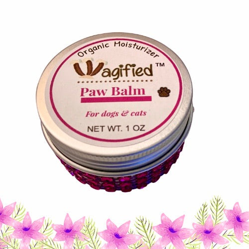 Organic Paw Balm for Dogs and Cats